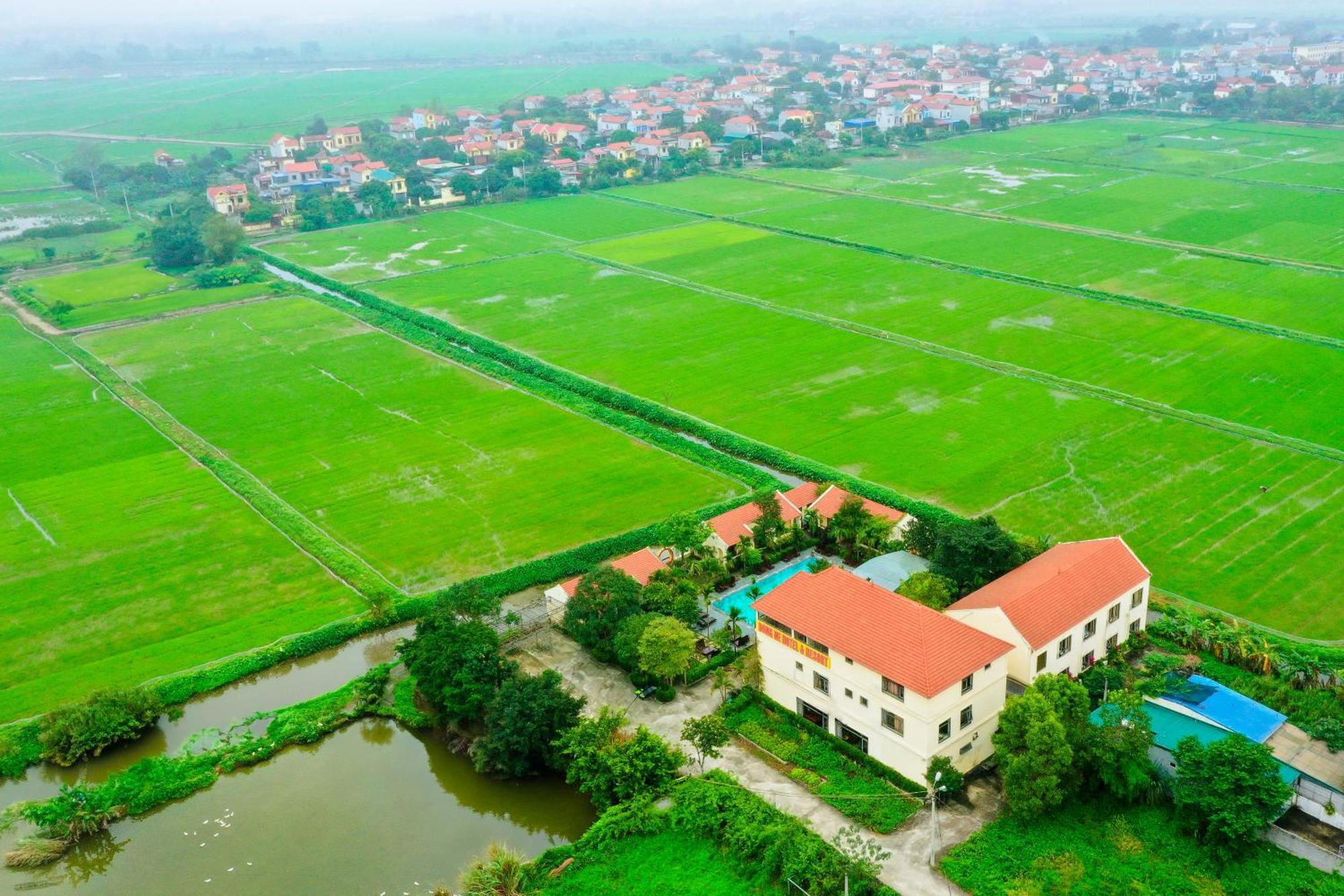 Dong Ne Tam Coc Hotel & Resort Ninh Binh Eksteriør bilde